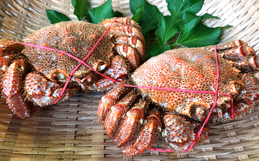 北海道産毛蟹600g前後×2尾 北海道 カニ 毛ガニ 毛蟹 かに かに 北海道産毛蟹600g前後×2尾 北海道 カニ 毛ガニ 毛蟹 かに かに