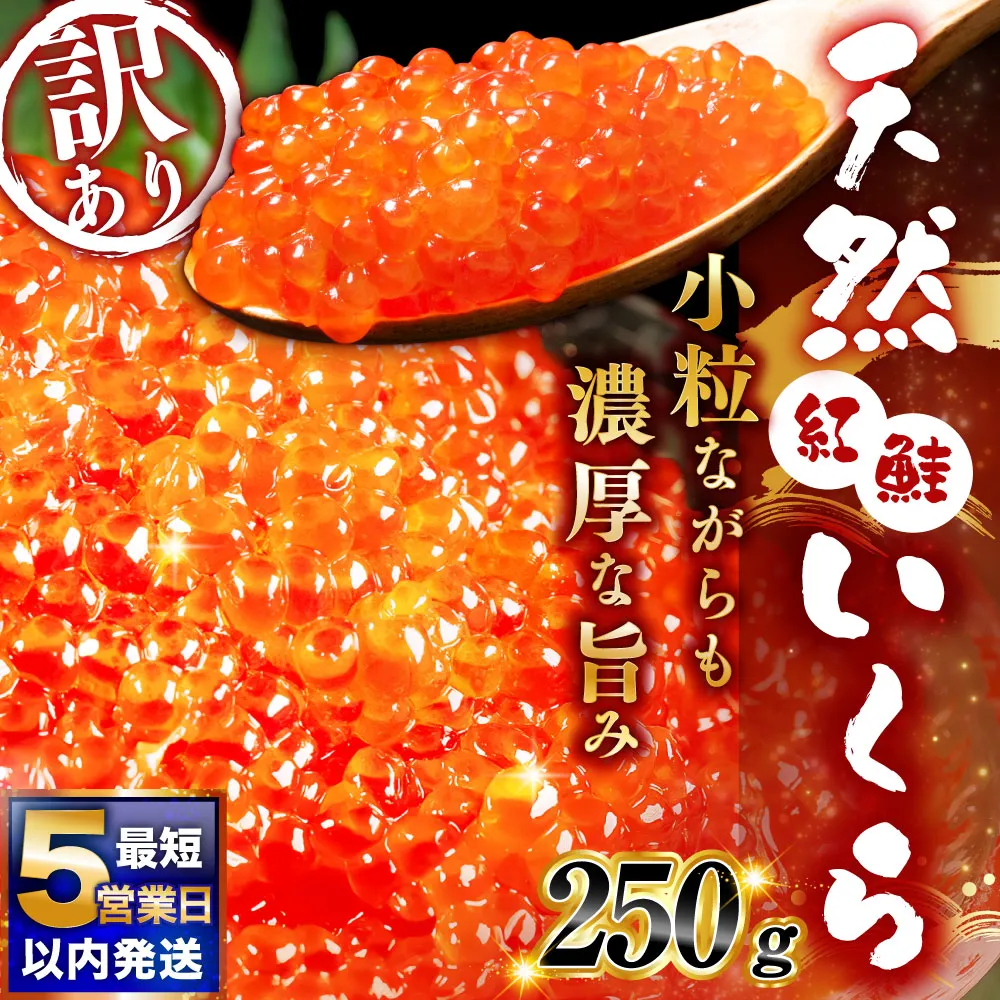 7月発送 紅鮭いくら醤油漬け 250g 冷凍 年末年始 いくら 鮭いくら ご飯のお供 ご飯 米 北海道 釧路市