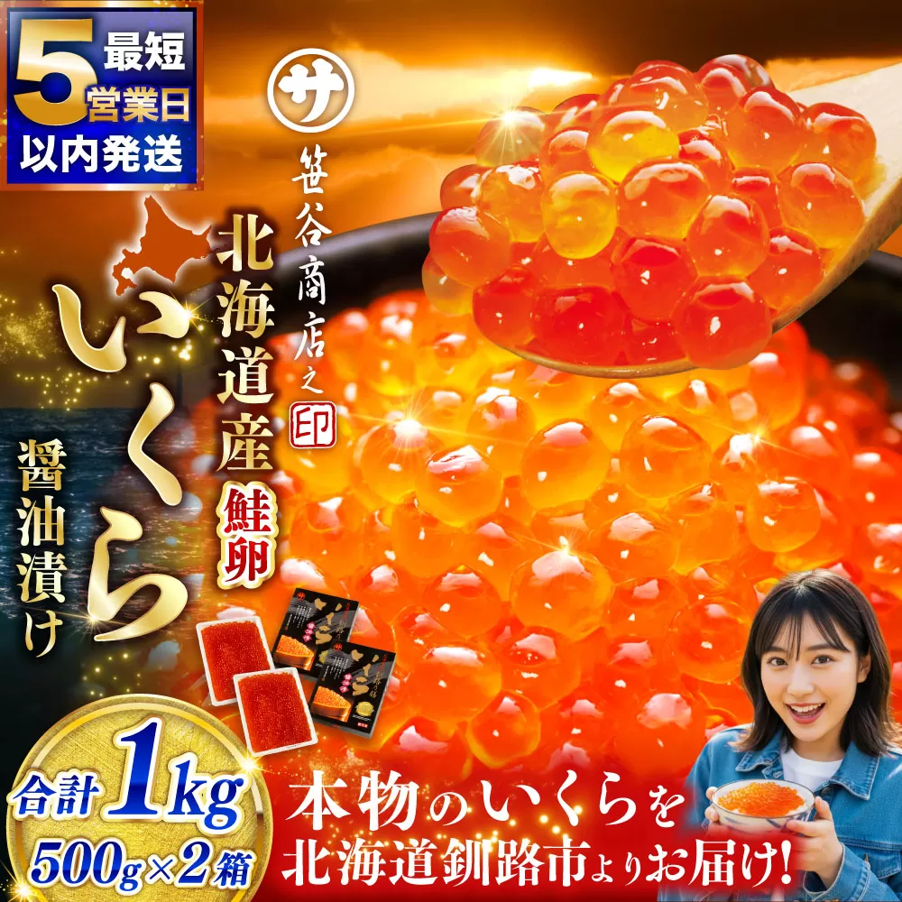 【5営業日以内発送】いくら 500g × 2箱 合計1kg 魚卵 醤油漬け 冷凍 海産物 魚介類 ご飯のお供 海鮮 海鮮丼 国産 北海道産 いくら醤油漬