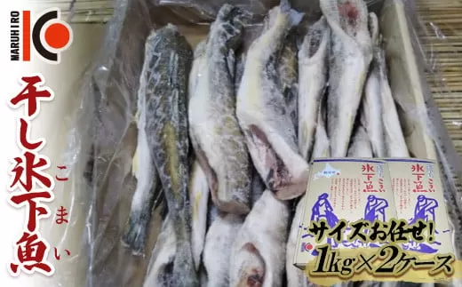 干し氷下魚(サイズお任せ)1kg×2ケース こまい コマイ 魚 白身魚 おつまみ 肴 おかず  F4F-2597