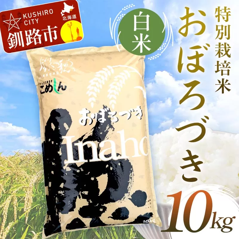 特別栽培米おぼろづき 10kg 白米 北海道産 米 コメ こめ お米 白米 玄米 通常発送 F4F-9792