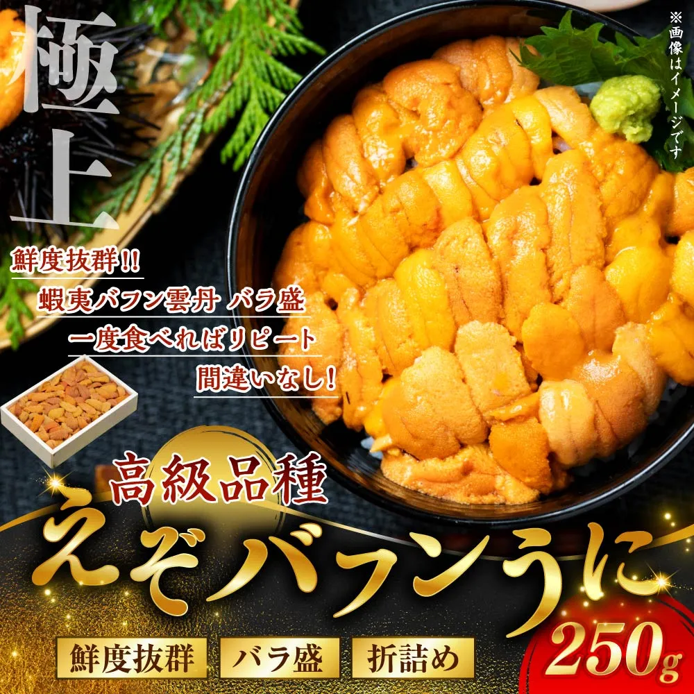 【鮮度抜群!極上生えぞバフンうに】生うに折250g ふるさと納税 うに F4F-3210