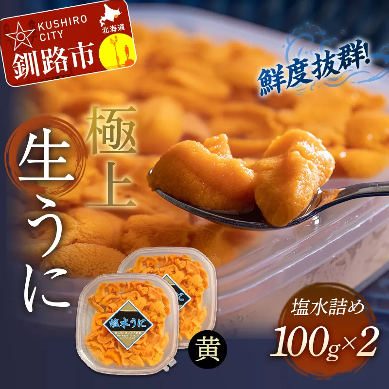 【鮮度抜群！特選・極上えぞバフンうに【黄】】塩水詰め100g×2個 ふるさと納税 うに F4F-0467