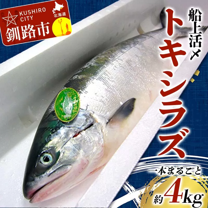 【期間限定!寄附額改定↓!】トキシラズ 約4kg 鮭 サケ 魚 トキシラズ 生鮮 北海道 釧路市 F5F-0111