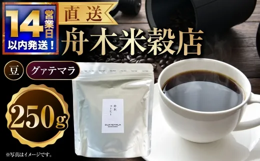 【14営業日以内に発送】 豆 【直送】 舟木米穀店 グァテマラ 250g コーヒー 珈琲 COFFEE coffee コーヒー豆 スペシャルティコーヒー 自家焙煎 焙煎