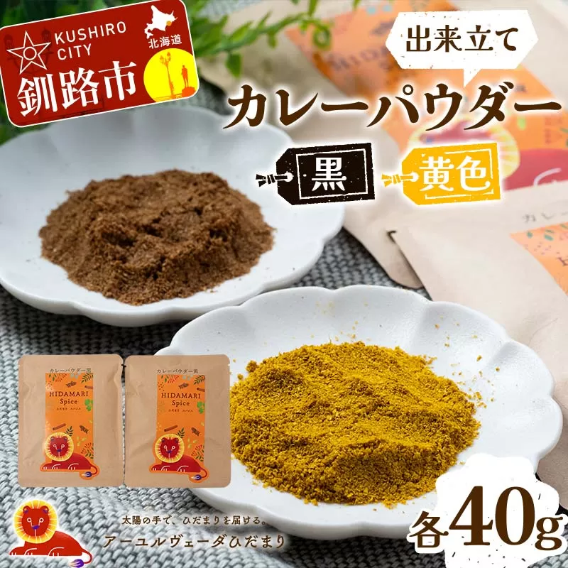 出来立てカレーパウダー 黒 黄色 各40g ローストパウダー イエローパウダー 本格的 スパイス 簡単 調味料 調理 おかず 本格 保存料不使用 化学調味料不使用 添加物不使用 F4F-5154