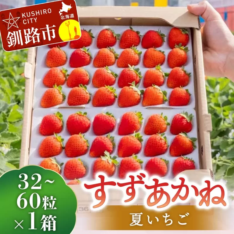 【期間限定！寄附額改定↓！】先行予約!【2026年6月末から順次発送】すずあかね 32〜60粒×1箱 夏いちご 贈答用 イチゴ 夏イチゴ 果物 苺 いちご 夏 スィーツ ケーキ フルーツ 北海道 F5F-0095