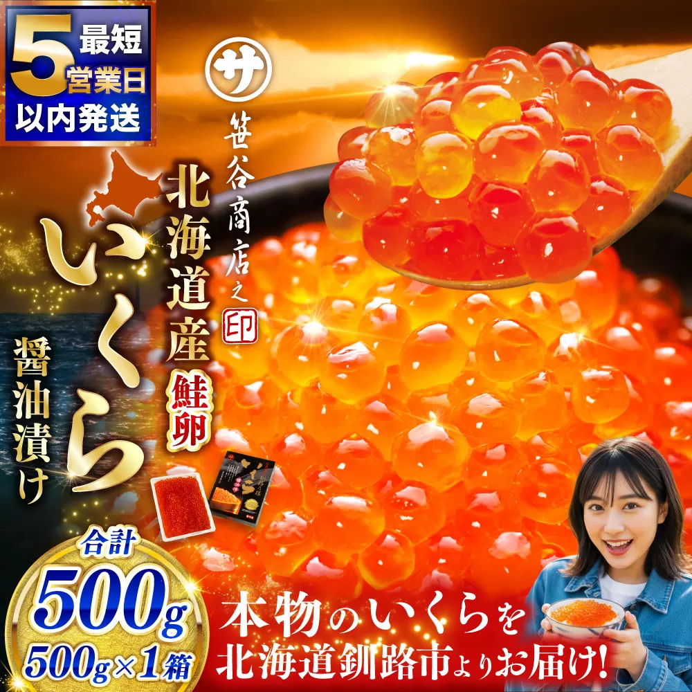 【5営業日以内発送】新物 北海道産 いくら醤油漬け500g×1箱 ふるさと納税 いくら