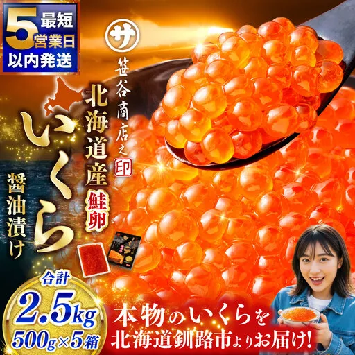 【5営業日以内発送】 笹谷商店 北海道産 いくら イクラ (鮭) 500g×5箱 2.5kg 2,500g 魚 醤油漬け 海鮮醤油漬け 海鮮 海鮮丼 ギフト 冷凍 魚卵 魚介類 しょう油漬 ご飯のお供
