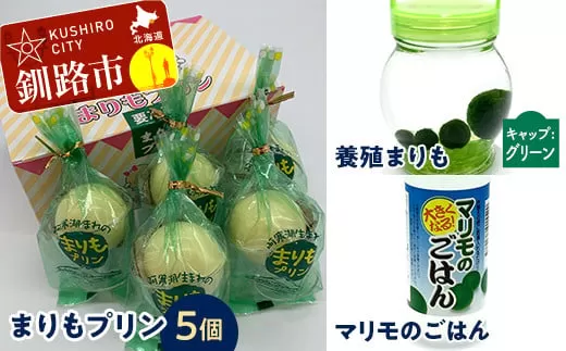 阿寒湖銘菓まりもプリン5個入と養殖まりもセット（グリーン） 北海道 釧路 ふるさと納税 養殖まりも 飼育 プリン カスタード スイーツ 菓子  F4F-1864