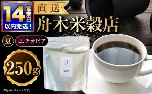 【14営業日以内に発送】 豆 【直送】 舟木米穀店 エチオピア 250g コーヒー 珈琲 COFFEE coffee コーヒー豆 スペシャルティコーヒー 自家焙煎 焙煎