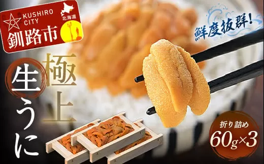 生うに折60g×3【鮮度抜群！極上生えぞバフンうに】 ふるさと納税 うに  F4F-0568