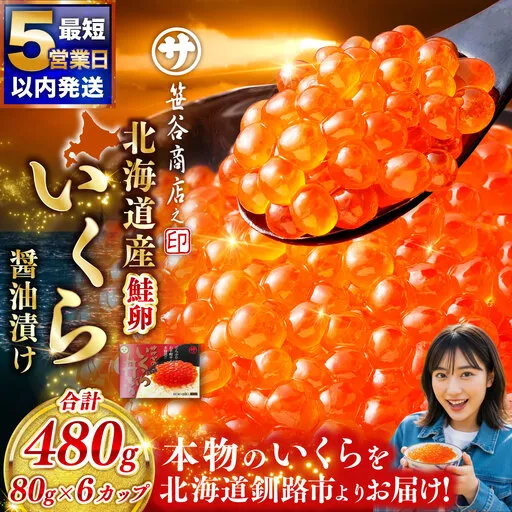 【5営業日以内発送】北海道産 いくら 醤油漬け 80g×6カップ 計480g 北海道 笹谷商店 小分け ギフト 釧路 ふるさと納税 イクラ 魚卵 魚介類 海産物