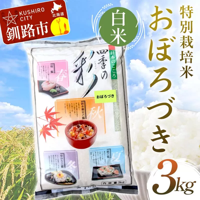 特別栽培米おぼろづき 3kg 白米 北海道産 米 コメ こめ お米 白米 玄米 通常発送 F4F-9844