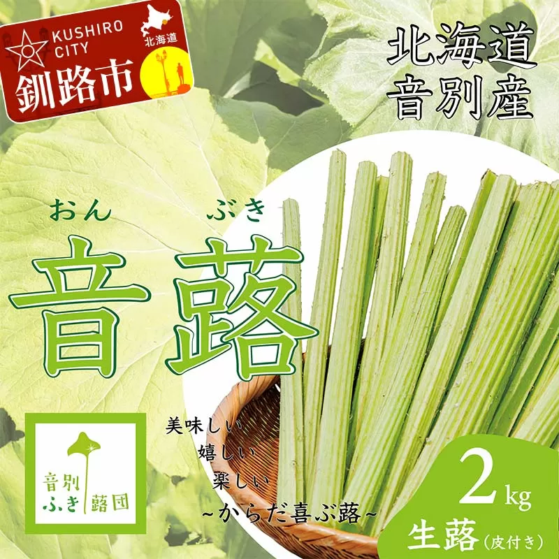 【6月中に順次発送】音蕗(おんぶき) 2kg 無農薬 蕗 フキ ふき 煮しめ 和食 おかず ご飯のお供 音別産生蕗 北海道産 北海道 F4F-4562