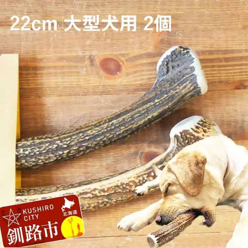 エゾ鹿の角ガム 22cm 大型犬用 2個 北海道産 国産 無添加 犬用ガム 天然鹿角 長持ち デンタルケア ペット おやつ F5F-0067