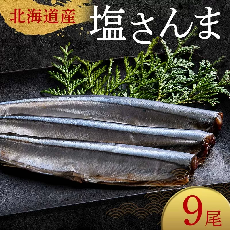 極上塩さんま9尾 3尾ごとの真空保存 さんま 焼き魚 魚 海鮮 鮮魚 北海道 ご当地グルメ 漬け魚 F4F-8103