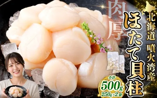【 14営業日以内発送 】 北海道産 ホタテ 貝柱 500g （ 250g × 2パック ） 魚介類 海鮮 海産物 生食用 肉厚 お刺身 海鮮丼 バター醤油焼き フライ 国産 鮮度抜群 おつまみ おかず 晩酌 酒の肴 冷凍