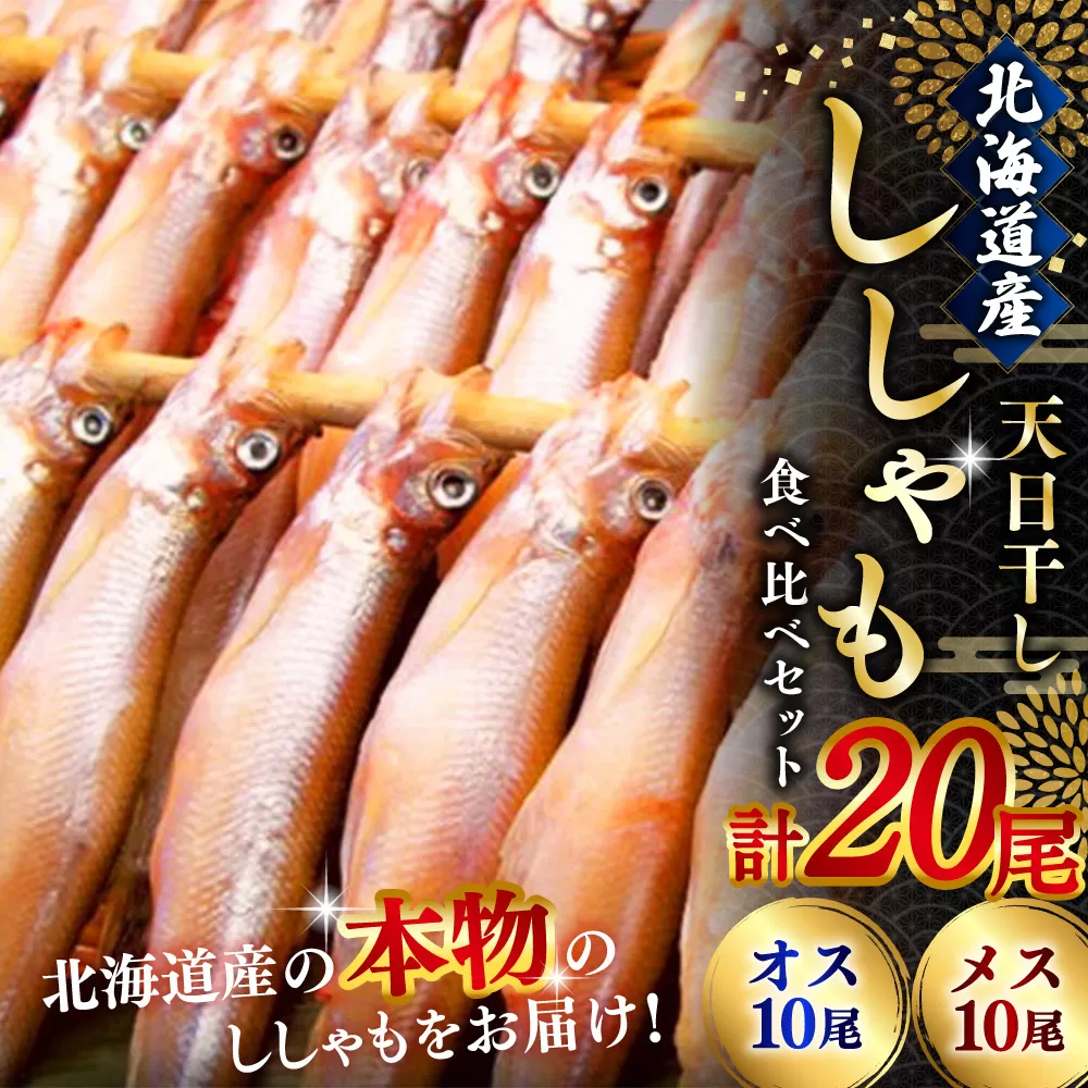 北海道釧路市 【オスメス食べ比べ】北海道産・ししゃもセット ふるさと納税 ししゃも F4F-3597