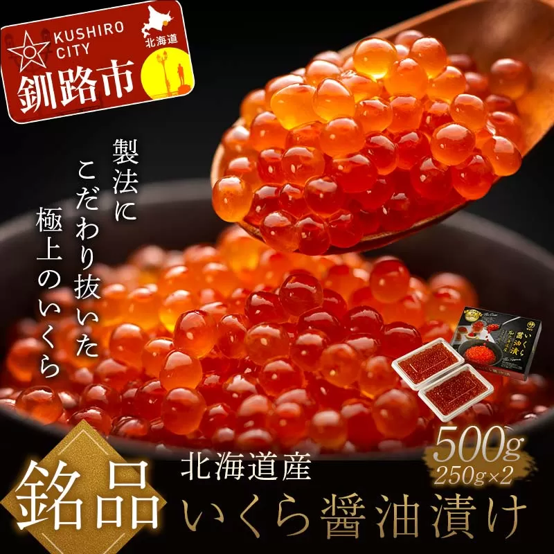 【12月25日までの入金で年内発送】 笹谷商店 北海道産いくらしょう油漬500g（250g×2個パック入り） ふるさと納税 いくら F5F-0053