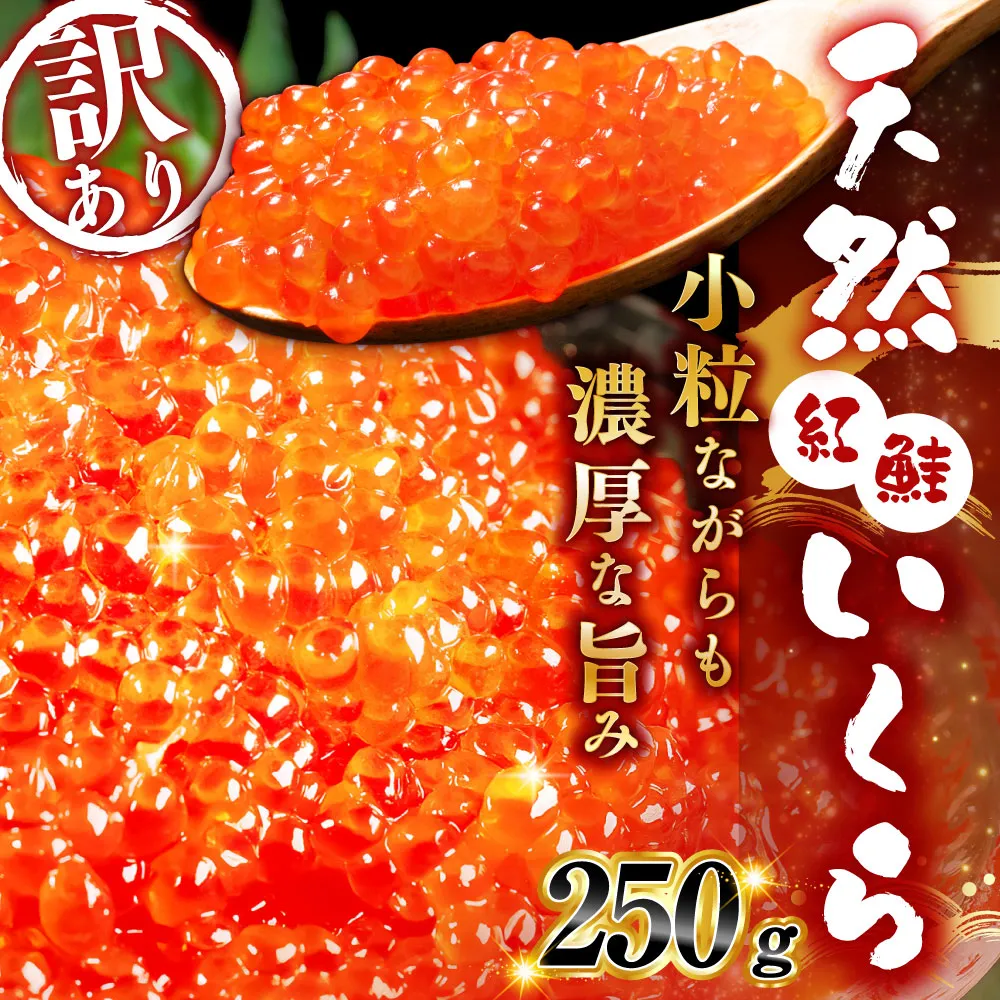 【2026年11月以降順次発送】新物 紅鮭いくら醤油漬け 250g 冷凍 いくら 鮭いくら ご飯のお供 ご飯 米 北海道 釧路市
