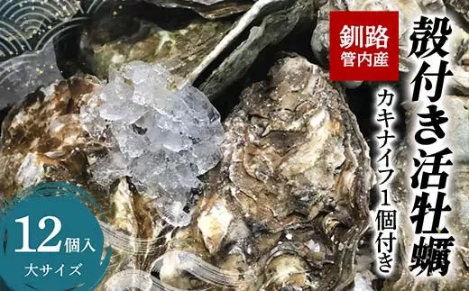 釧路管内産！殻付き活牡蠣【大】12個  F4F-2985