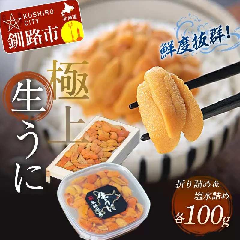 【食べ比べセット】生うに折100g&塩水うに100g ふるさと納税 うに F4F-0566