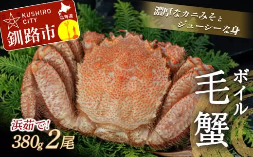 【浜茹で！】ボイル毛ガニ380g（冷凍）×2尾 ふるさと納税 かに 蟹  F4F-5341