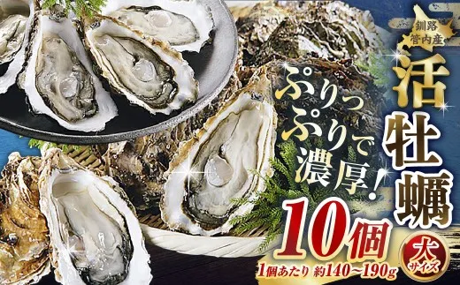 【 ぷりっぷりで濃厚！ 】 釧路管内産 【 活 】 牡蠣 （ 大 ） 10個 （ 1個あたり約140～190g ） カキ かき 生牡蠣 焼き牡蠣 殻付き 生食 魚介 魚介類 海鮮 海のミルク お鍋 国産 北海道産 冷蔵