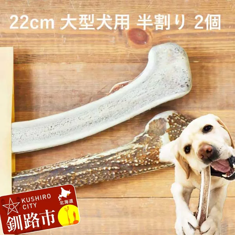 エゾ鹿の角ガム 22cm 大型犬用 半割り 2個 北海道産 国産 無添加 犬用ガム 天然鹿角 長持ち デンタルケア ペット おやつ F5F-0065