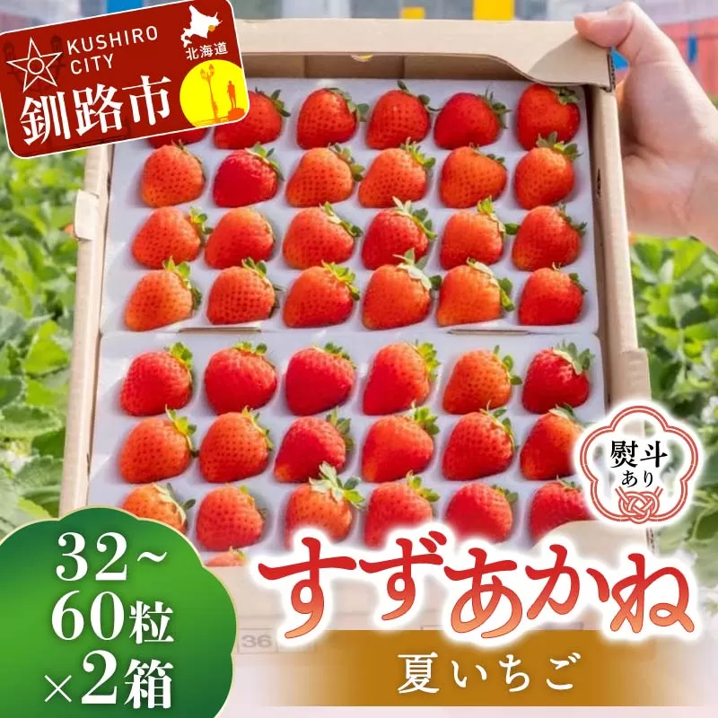 【期間限定！寄附額改定↓！】＜無地熨斗あり＞ 2026年先行予約 北海道産いちご すずあかね 32〜60粒×2箱 【2026年6月末から順次発送】 夏いちご イチゴ 苺 フルーツ 果物 ジャム スイーツ 贈答用 ギフト 国産 北海道 釧路市 いちご F5F-0107