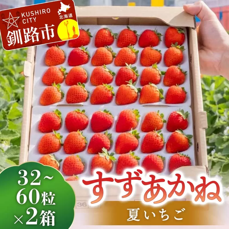 【期間限定！寄附額改定↓！】2026年先行予約 北海道産いちご すずあかね 32〜60粒×2箱 【2026年6月末から順次発送】 夏いちご イチゴ 苺 フルーツ 果物 ジャム スイーツ 贈答用 ギフト 国産 北海道 釧路市 いちご F5F-0092