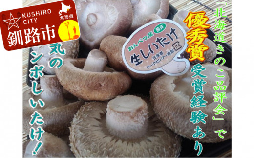 北海道　松茸　600g 北海道松茸600g