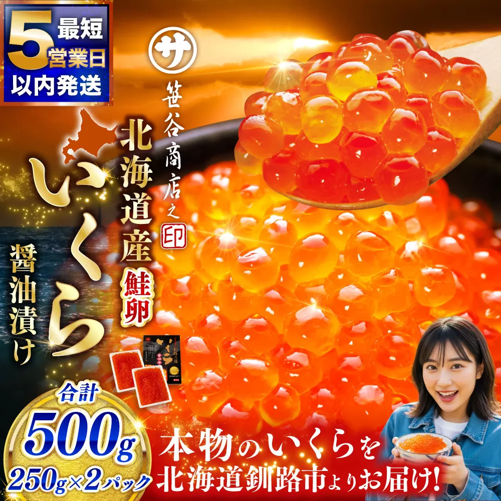 【5営業日以内発送】笹谷商店 新物 北海道産いくらしょう油漬500g(250g×2パック入り)ふるさと納税 いくら