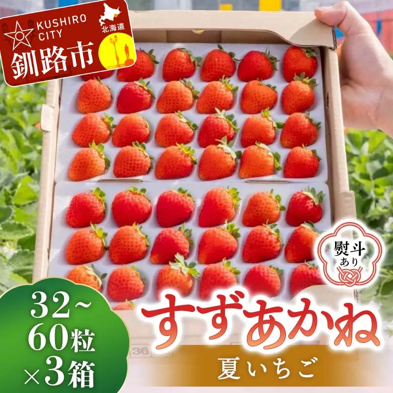 【期間限定！寄附額改定↓！】＜無地熨斗あり＞ 2026年先行予約 北海道産いちご すずあかね 32〜60粒×3箱【2026年 6月末 から順次発送】 夏いちご イチゴ 苺 フルーツ 果物 ジャム スイーツ 贈答用 ギフト 国産 北海道 釧路市 F5F-0108