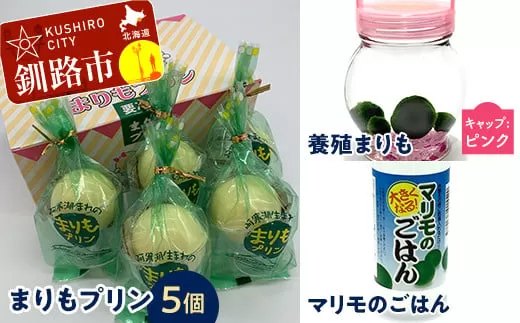 阿寒湖銘菓まりもプリン5個入と養殖まりもセット（ピンク） 北海道 釧路 ふるさと納税 養殖まりも 飼育 プリン カスタード スイーツ 菓子  F4F-1862