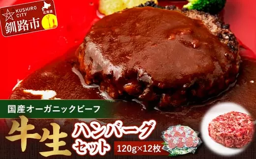 生ハンバーグ120g×12枚 釧路生まれ、釧路育ちのオーガニックビーフ 決済より30日前後で発送 F4F-3500