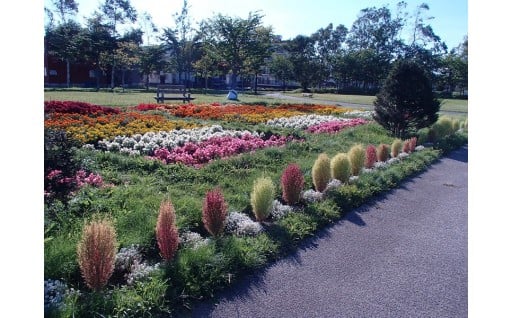 街づくり（公園）の整備に活用