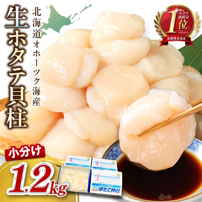 【予約：2026年6月から順次発送】北海道オホーツク海産 ホタテ貝柱 1.2kg 生食用 ( 海鮮 魚介 魚介類 貝 ほたて 刺身 貝柱 海鮮丼 贈答 ギフト 小分け 帆立貝柱 人気 ふるさと納税 ホタテ )【037-0021】
