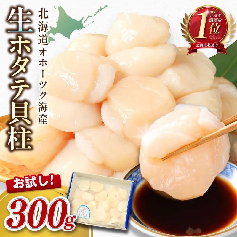 【2026年8月発送】北海道オホーツク海産 ホタテ貝柱 300g 生食用 ( 海鮮 魚介 魚介類 貝 ほたて 刺身 貝柱 海鮮丼 贈答 ギフト 小分け 帆立貝柱 人気 ふるさと納税 ホタテ )【037-0020】