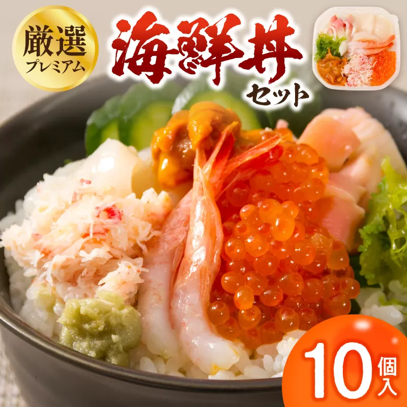 厳選！プレミアム海鮮丼セット10個入 ( うに ウニ 雲丹 貝 かい 海鮮丼 海鮮 魚介類 丼 プレミアム セット ふるさと納税 )【094-0101】
