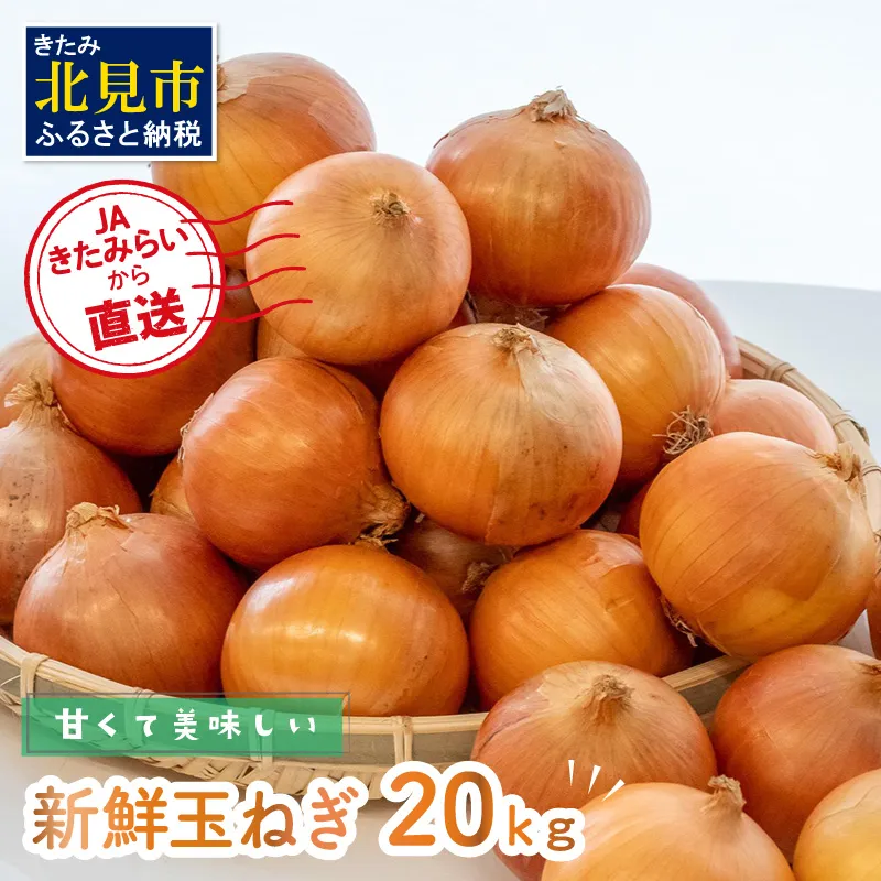 【予約：2026年10月中旬から順次発送】JAきたみらいから直送する甘くて美味しい新鮮玉ねぎ 20kg Lサイズ以上 ( たまねぎ 野菜 北海道 玉葱 )【104-0008-2026】