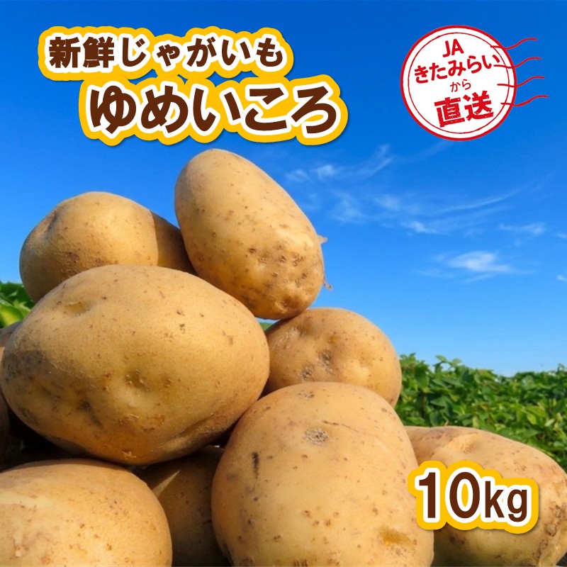 新鮮なジャガイモ 大量セット10kg 予約：2026年10月上旬から順次発送】JAきたみらいから直送する新鮮
