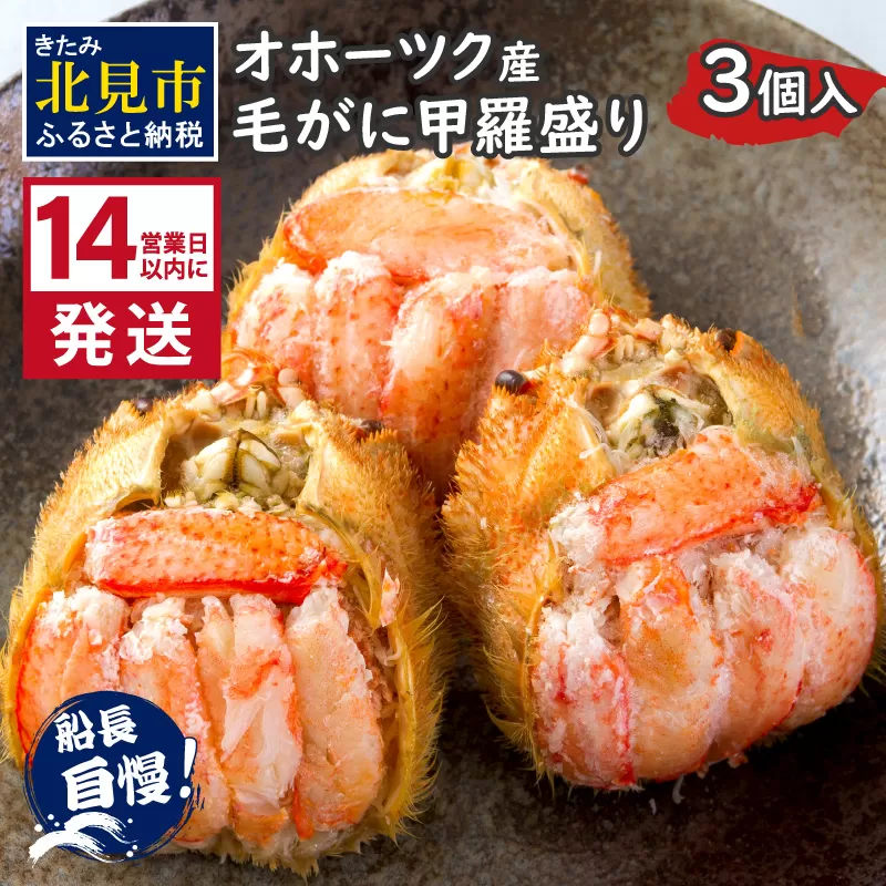 《14営業日以内に発送》船長自慢のオホーツク産毛がにの甲羅盛り 3個入り 冷凍 ( 毛ガニ 毛がに 毛蟹 蟹 かに カニ 甲羅盛り オホーツク海 北海道 北見市 ふるさと納税 グラタン チーズ カニ身 )【114-0073】