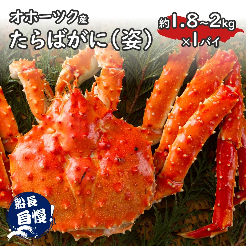 【予約：2026年12月から順次発送】オホーツク産 たらばがに 姿 1.8kg～2.0kg 冷凍 ( たらば タラバ カニ かに 蟹 魚介類 海鮮 北海道 旨味 一尾 )【114-0090】