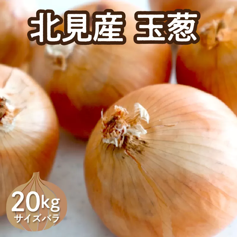【予約：2026年10月下旬から順次発送】北見産玉ねぎ 20kg ( 機能性玉葱 サイズバラ 玉ねぎ たまねぎ タマネギ 玉葱 オニオン ケル玉 野菜 北海道 長期貯蔵 )【133-0002-2026】