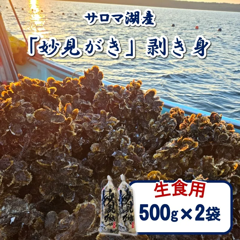 【予約：2026年11月から順次発送】サロマ湖産 生食用「妙見がき」剥き身 1kg ( サロマ湖 北見市産 牡蠣 カキ かき 生食 むき身 500g 2袋 )【156-0004】