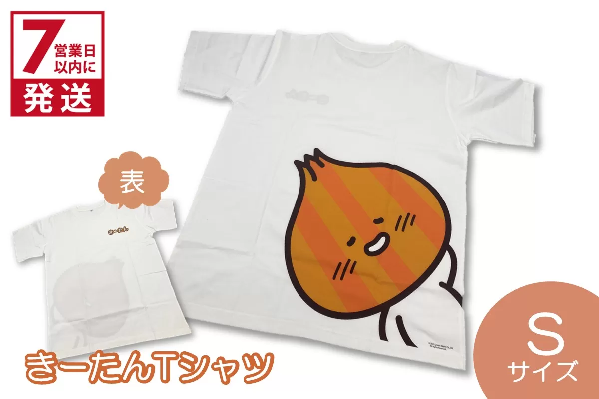《7営業日以内に発送》きーたんTシャツ Sサイズ ( Tシャツ シャツ トップス S イラスト 可愛い )【165-0010】