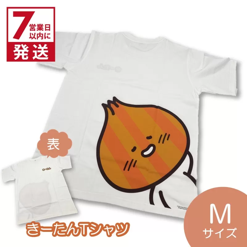 《7営業日以内に発送》きーたんTシャツ Mサイズ ( Tシャツ シャツ トップス M イラスト 可愛い )【165-0011】