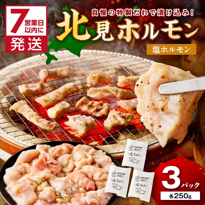 《7営業日以内に発送》北見塩ホルモン 250g×3パック ( 焼肉 ホルモン 肉 にく 塩 )【205-0002】